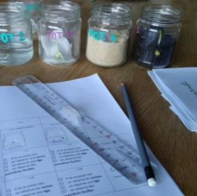 Carnet des petits radis
