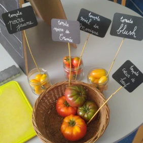 Tomate